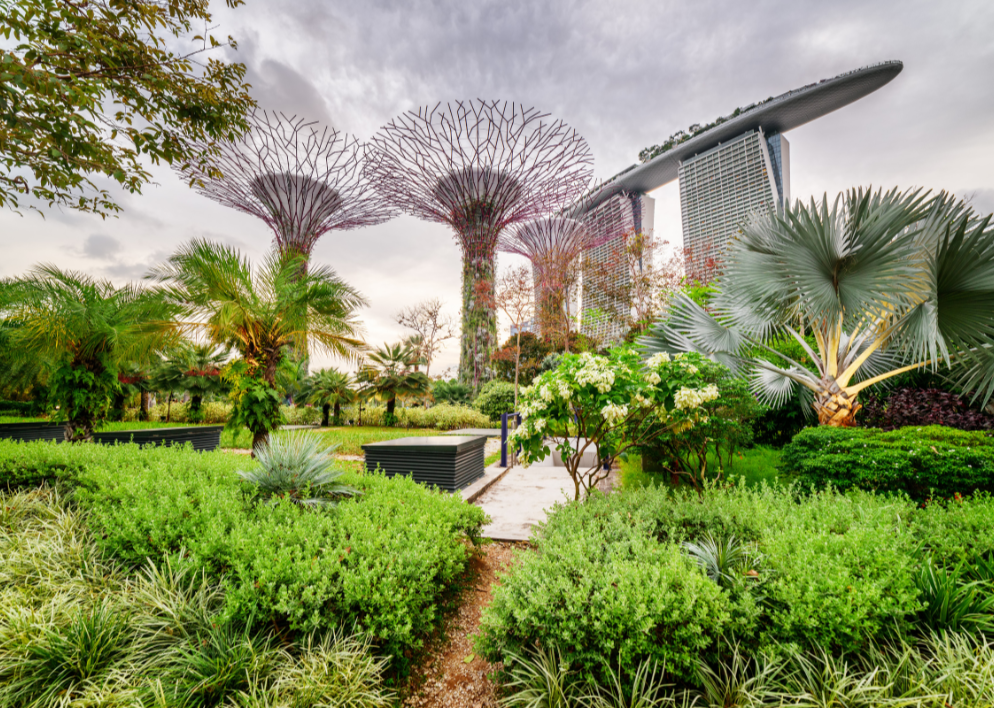 8 Seasonal and Annual Passes in Singapore: Are They Worth Your Money?